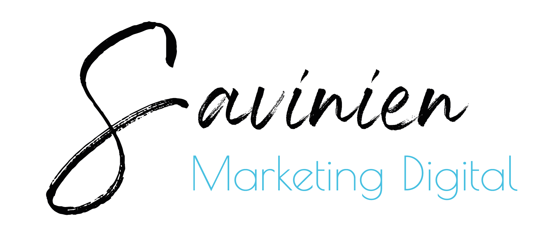 Logo Savinien Vanrapenbusc Consultant en Marketing Digital Indépendant